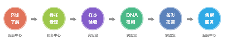 海南隐私亲子鉴定流程